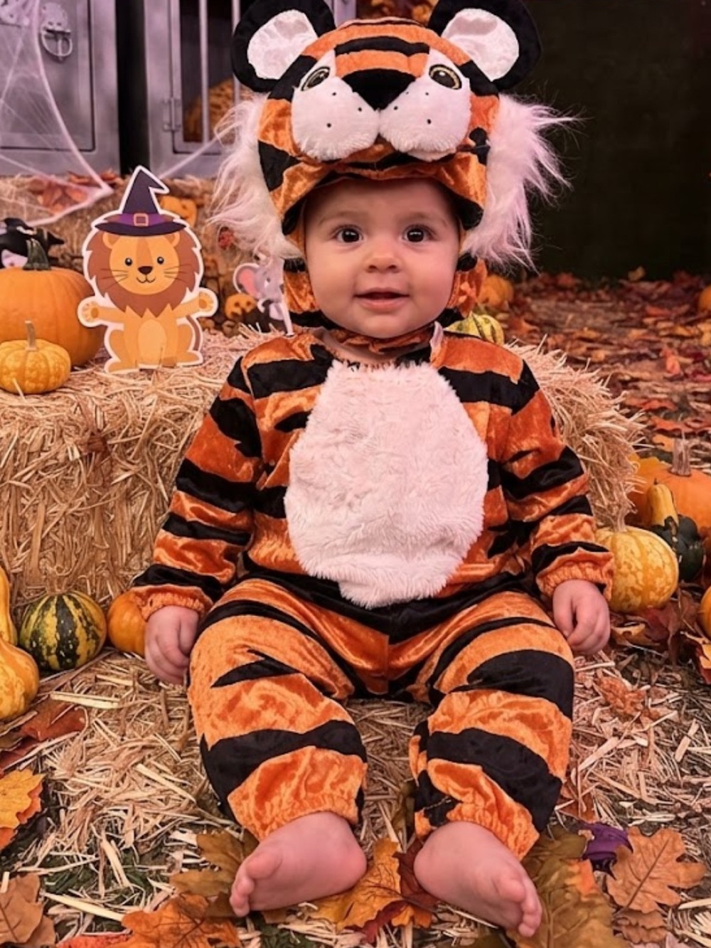 Baby Halloween looks like Baby Tony the Tiger costume sz 0-6 M